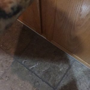 Meet your Posher, Pauline